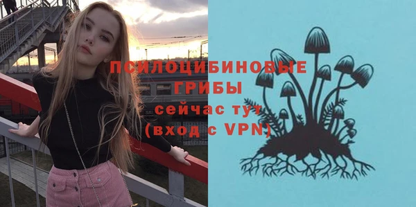 стафф Арсеньев