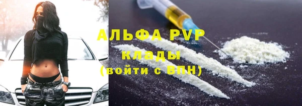 стафф Арсеньев