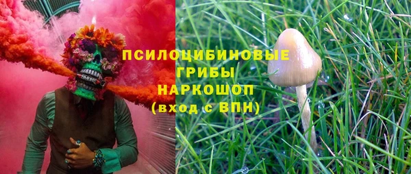 не бодяженный Армянск