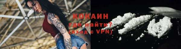 стафф Арсеньев