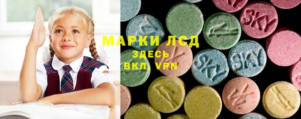 стафф Арсеньев