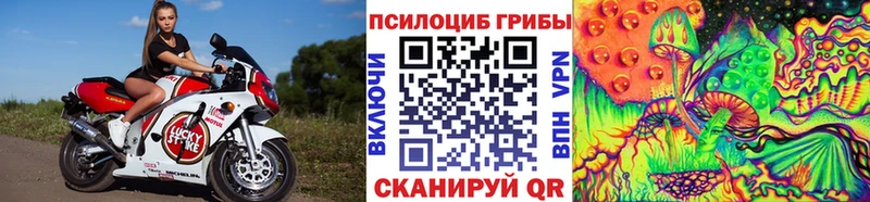 Галлюциногенные грибы мухоморы  купить наркотики цена  Видное 